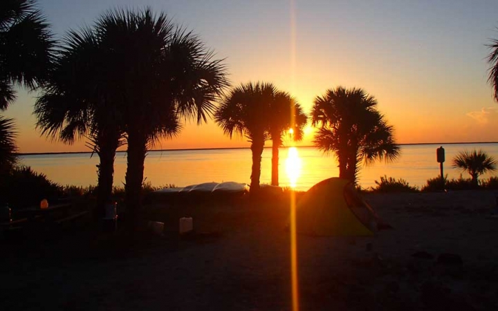 the silhouettes of palm trees are illuminated as the sun sets over the water behind them. 